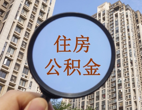 佳木斯退休后查不到公积金明细了吗（退休后公积金查询不到原因）